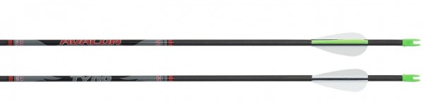 Avalon Carbonpfeil 29&quot; 900 Spine 5er Pack