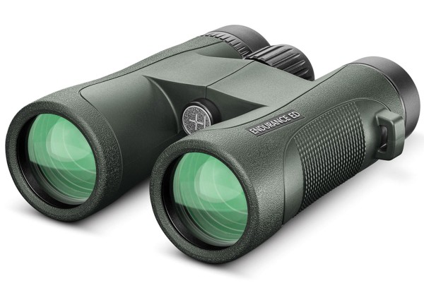Hawke Endurance ED 8x42, grün
